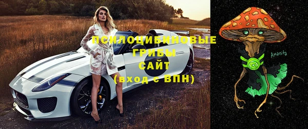СК Абдулино