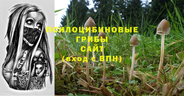 СК Абдулино